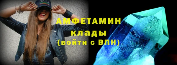 индика Слюдянка