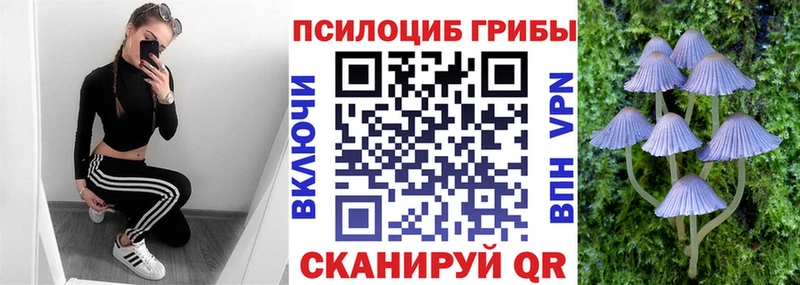хочу наркоту  кракен как зайти  Псилоцибиновые грибы Psilocybe  Ялуторовск 
